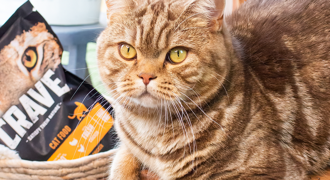 Crave cat food uk cheap