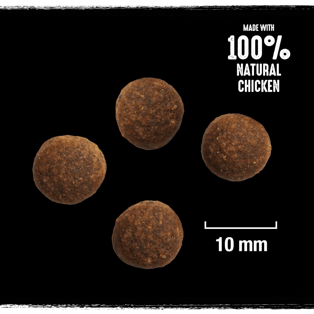 CRAVE™ Natural Grain Free Adult Complete Dry Dog Food Chicken & Grains 7kg - 2