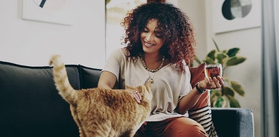 Indoor Cat Care hero 